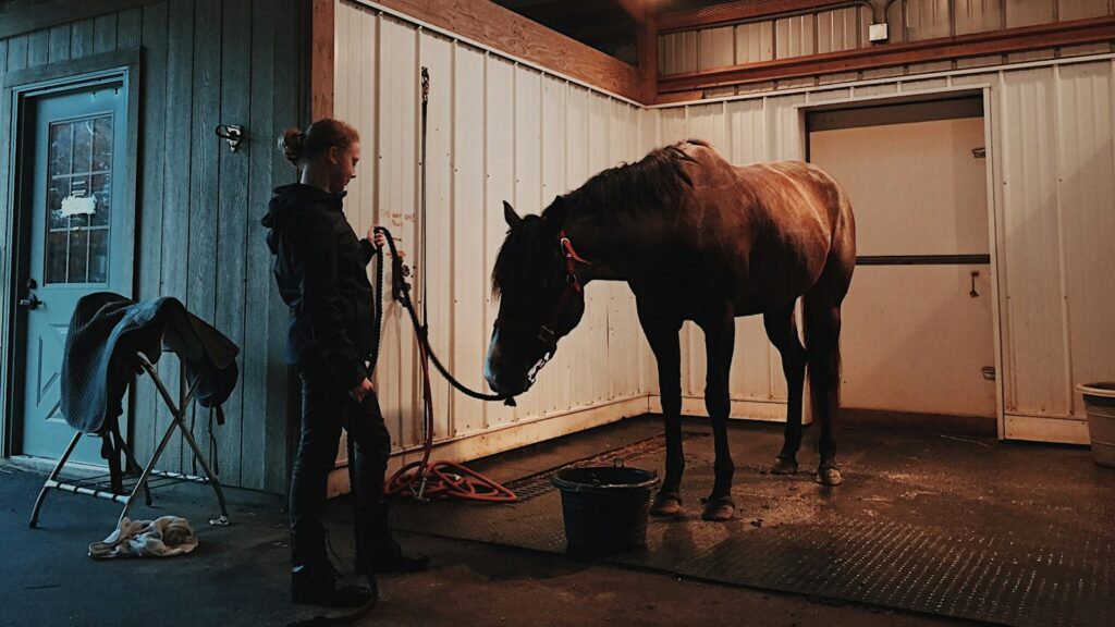 man standing in front of horse