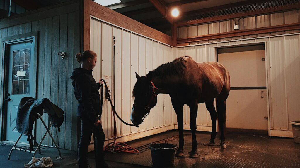Woman standing in front of horse