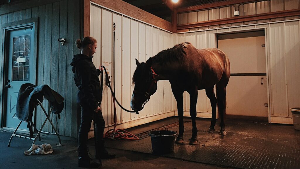woman standing in front of horse