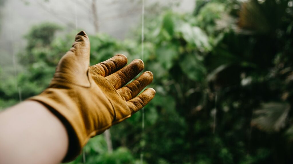 person wearing a brown gauntlet