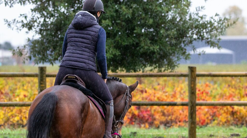 man in black leather jacket riding brown horse during daytime