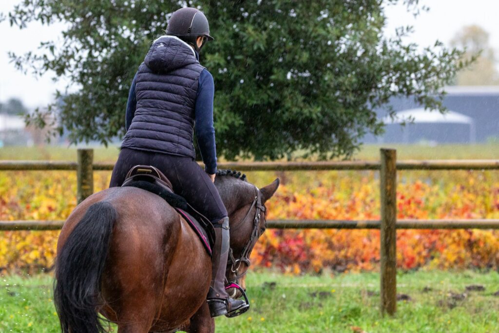 Man in black leather jacket riding brown horse