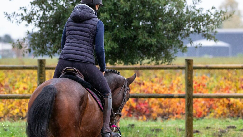 man in black leather jacket riding brown horse during daytime