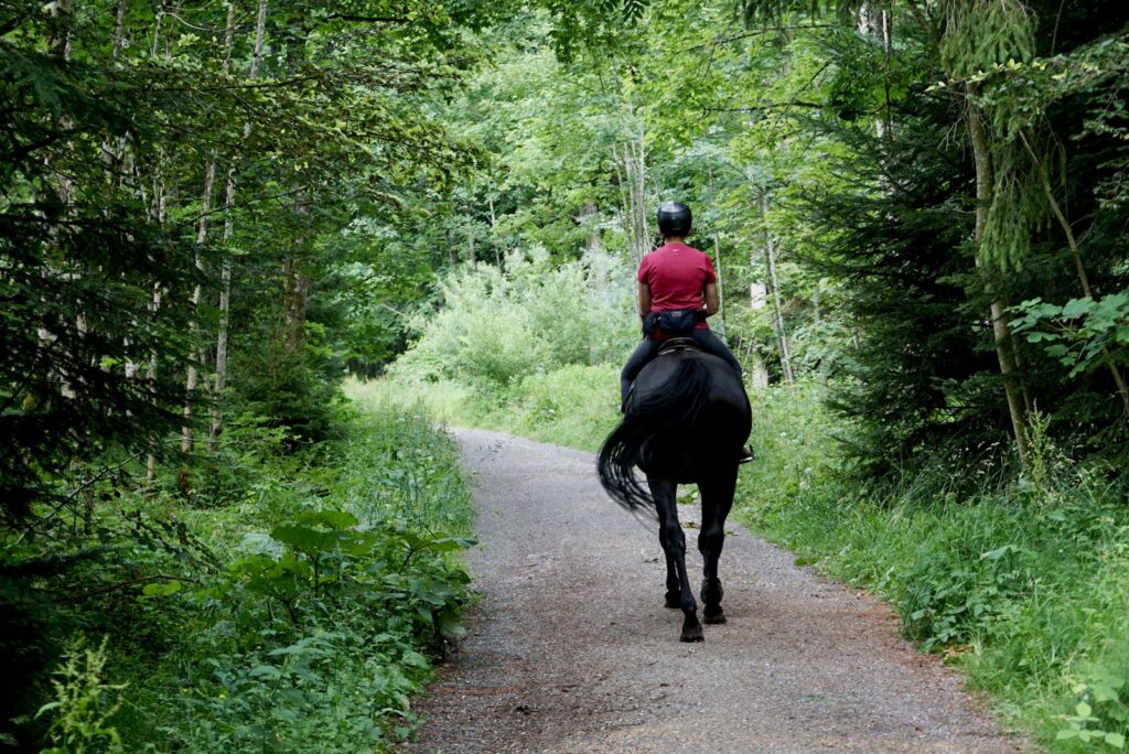Man in red jacket riding black horse on road during daytime