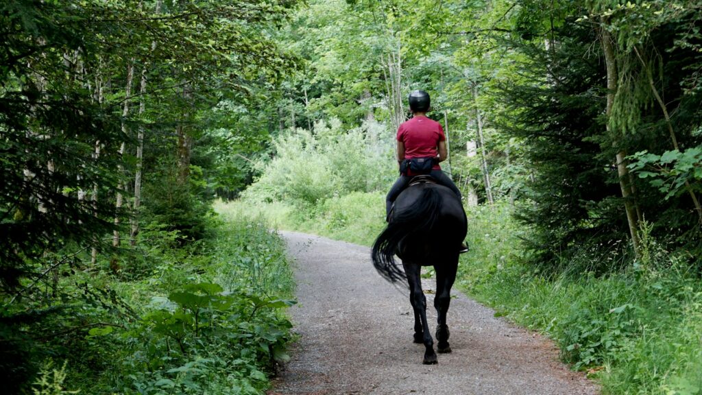 man in red jacket riding black horse on road during daytime