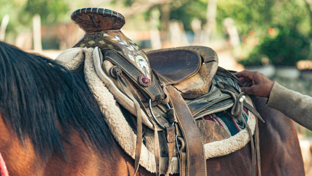 Detailed view of a well-worn saddle on a horse, showcasing craftsmanship.