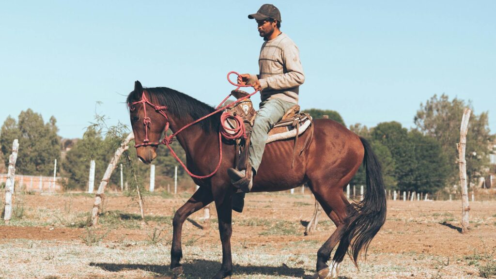 Man riding a horse on a sunny day at a ranch, showcasing traditional cowboy attire and equestrian skills.