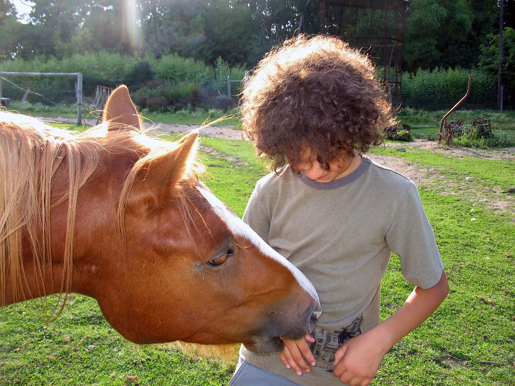 Horse playfully bites young owner