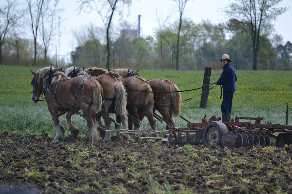 Farmer plows a field with horses in a rural countryside setting