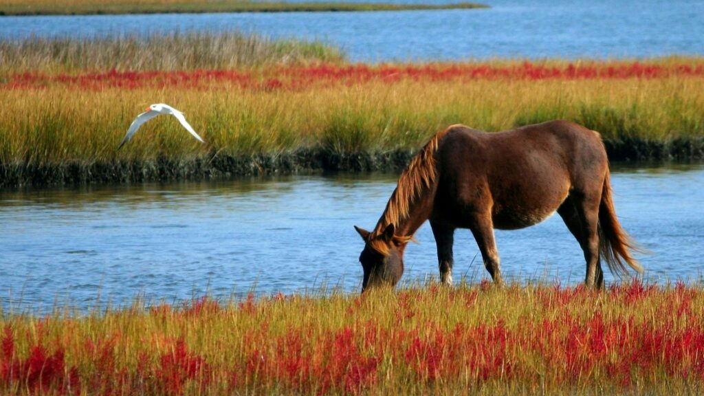 A horse grazes near a colorful riverbank, with a bird flying overhead, showcasing nature's beauty.