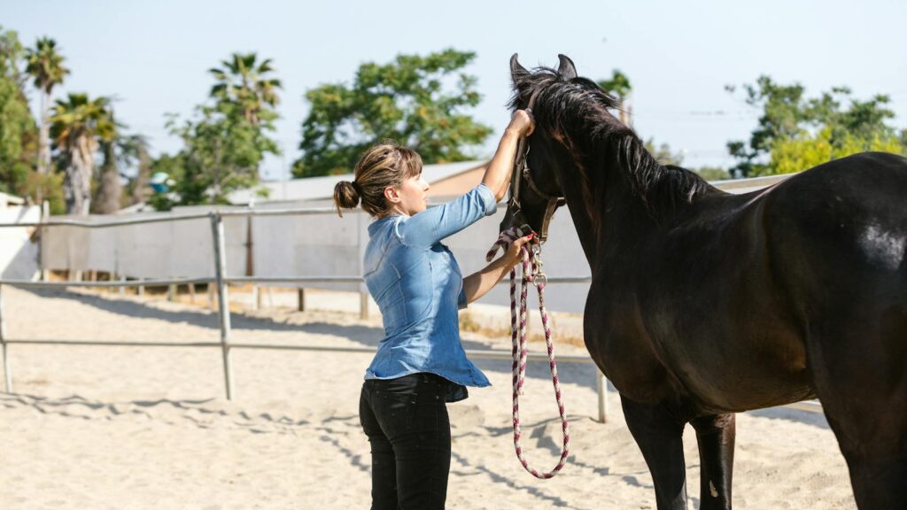 An adult woman adjusting a horse bridle outdoors in a sunny paddock.