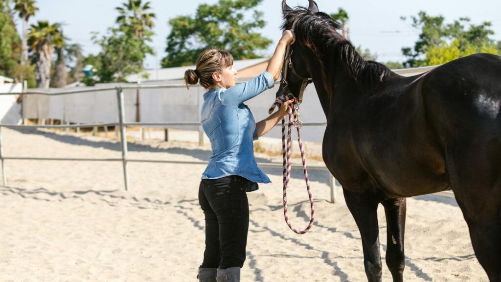 An adult woman adjusting a horse bridle outdoors in a sunny paddock.