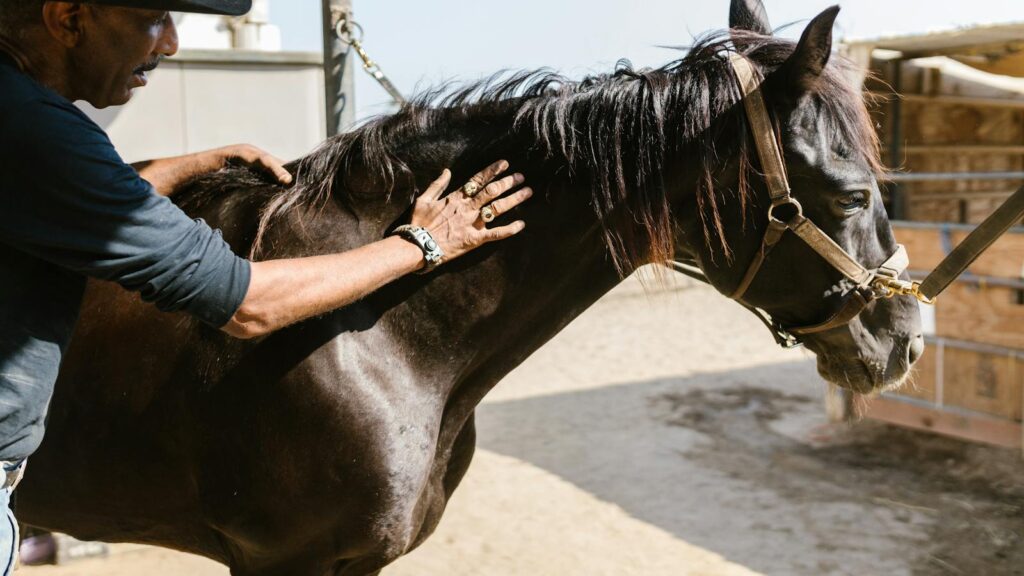 A cowboy gently pets a black horse at a ranch, surrounded by sunlight and rustic elements.