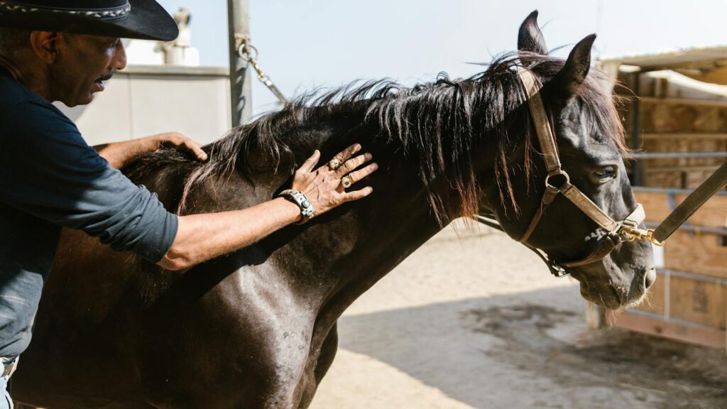 A cowboy gently pets a black horse at a ranch, surrounded by sunlight and rustic elements.