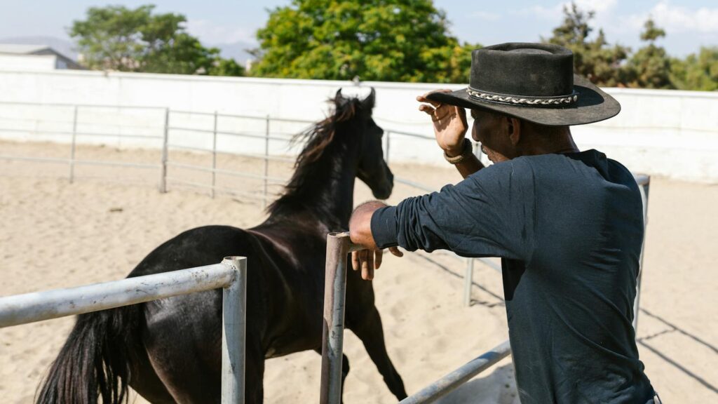 A man with a cowboy hat watches a black horse in an outdoor arena on a sunny day.