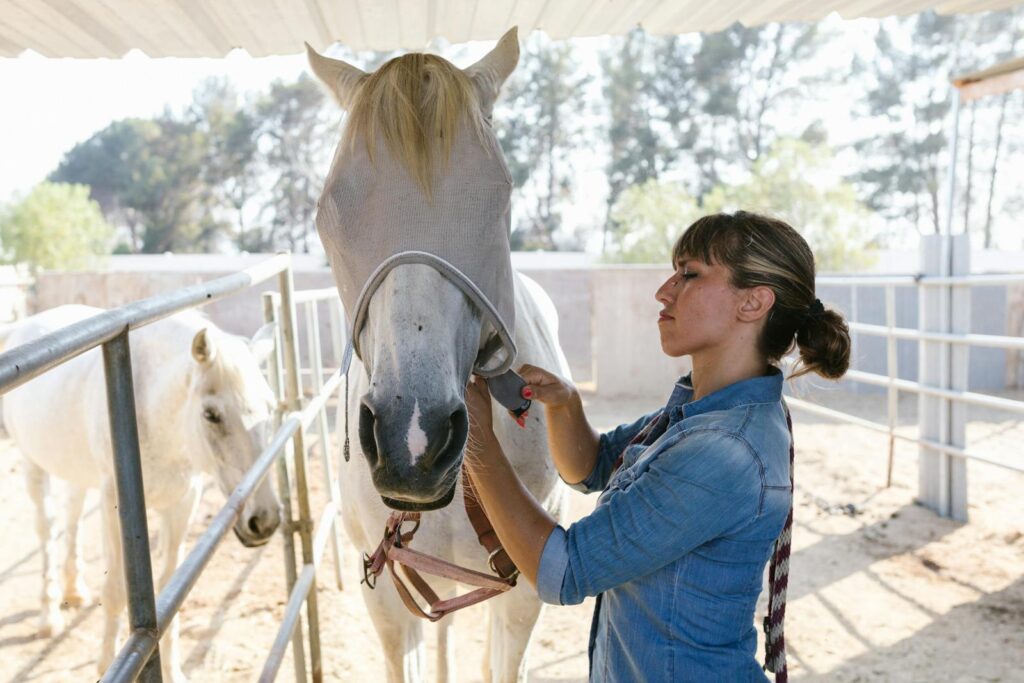 A woman wearing a denim shirt tends to a white horse with an anti-fly mask in a stable.