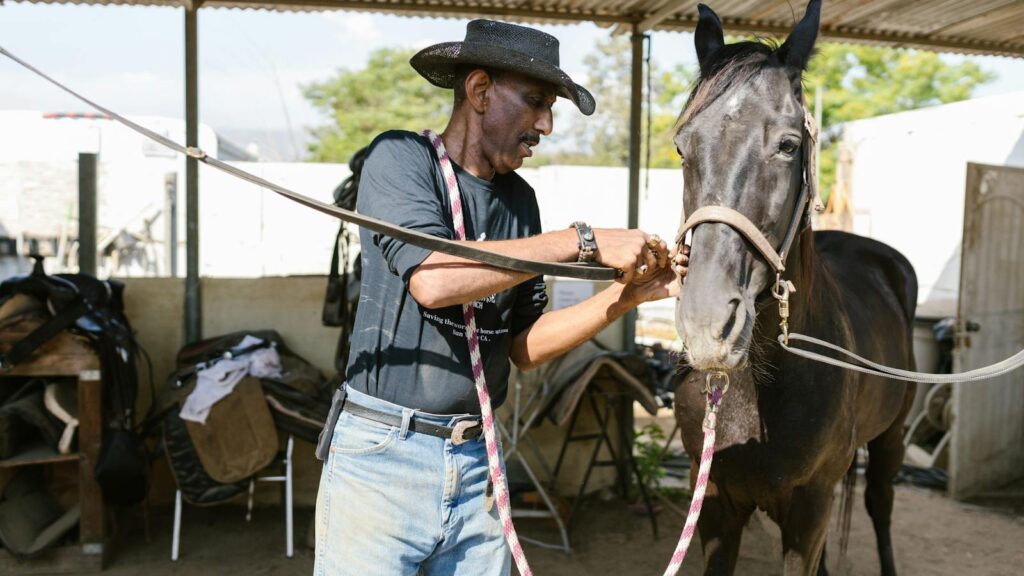 Man in cowboy hat grooming a horse inside a rustic stable, showcasing equestrian care.