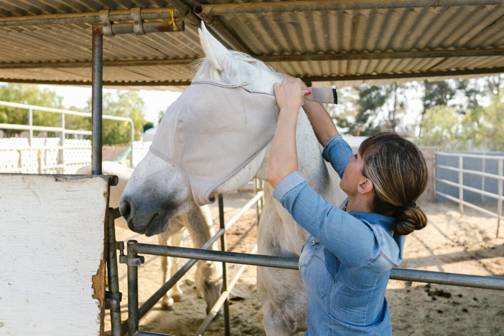 Woman is lovingly adjusting a fly mask on a horse