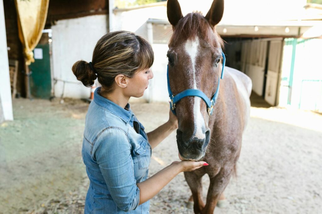 Woman in denim interacting with a brown horse in a stable setting