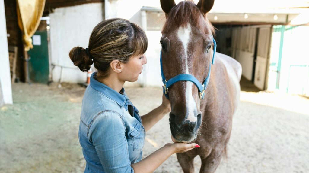 A woman in denim interacting with a brown horse in a stable setting, highlighting care and connection.