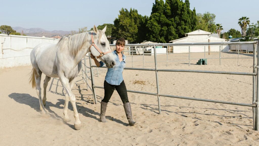 A woman guides a white horse in a sandy outdoor equine facility under a clear sky.