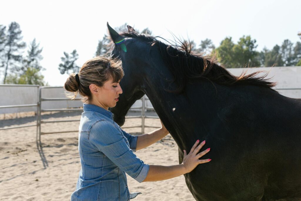 A woman in denim shirt interacts with a black horse on an outdoor ranch.