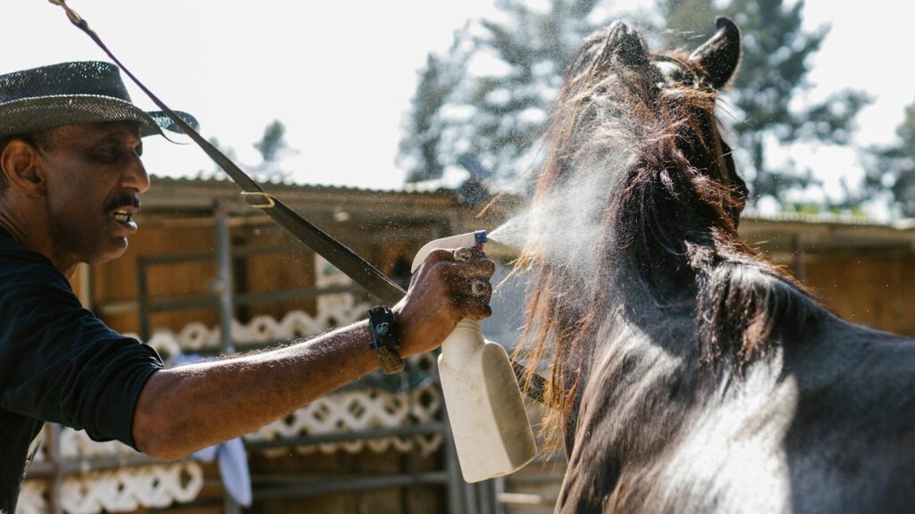 A man applies fly repellent to a horse using a spray bottle on a sunny day.