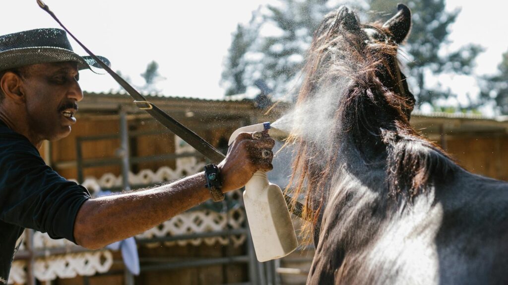 A man applies fly repellent to a horse using a spray bottle on a sunny day.