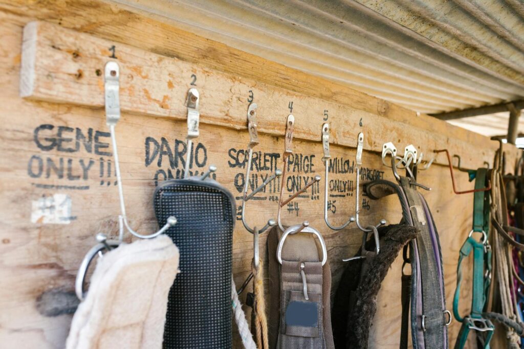 Labeled hooks displaying equestrian tack