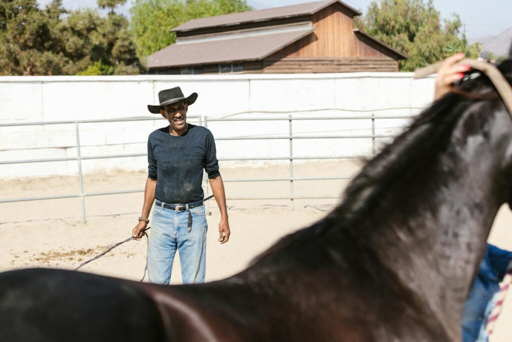 A cowboy in a black hat trains a horse in an outdoor corral on a sunny day.