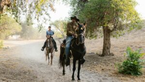 Two people riding horses on a rural dirt path surrounded by trees in a peaceful countryside setting.