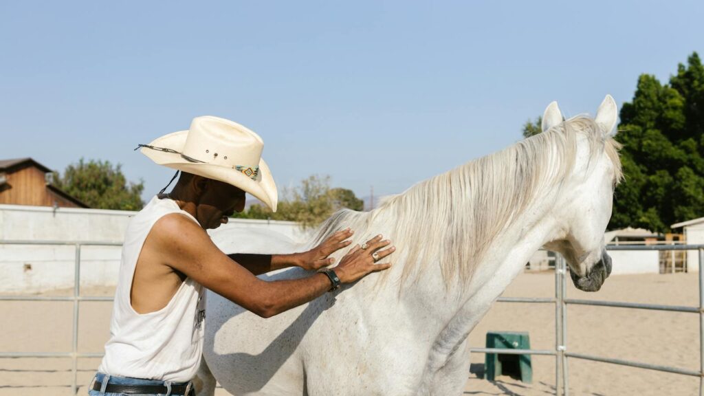 A cowboy gently cares for a white horse in an outdoor paddock under the sunny sky.