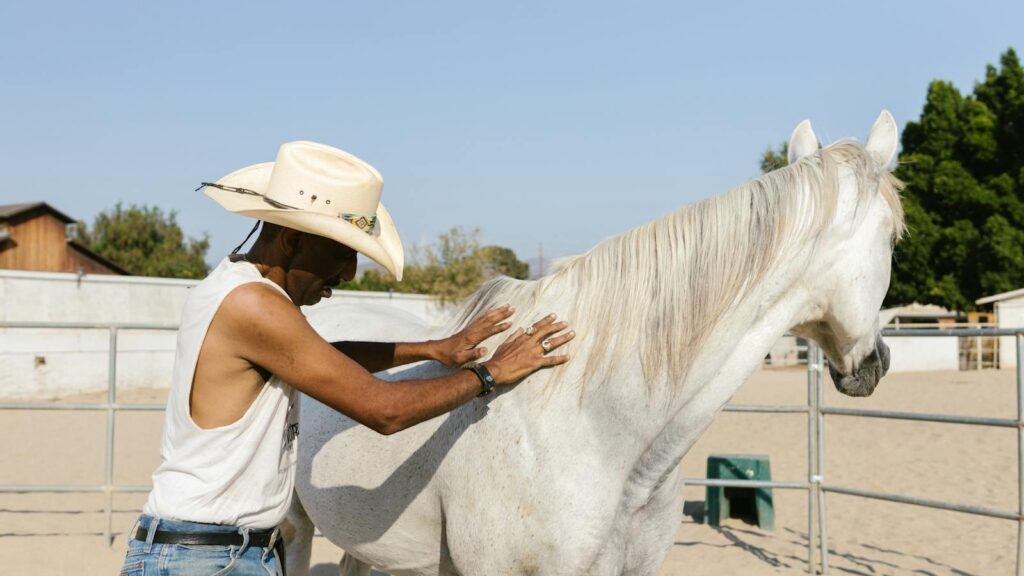 A cowboy gently cares for a white horse in an outdoor paddock under the sunny sky.