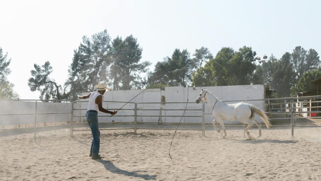 A cowboy trains a white horse in a dusty outdoor ranch, showcasing equestrian skills.