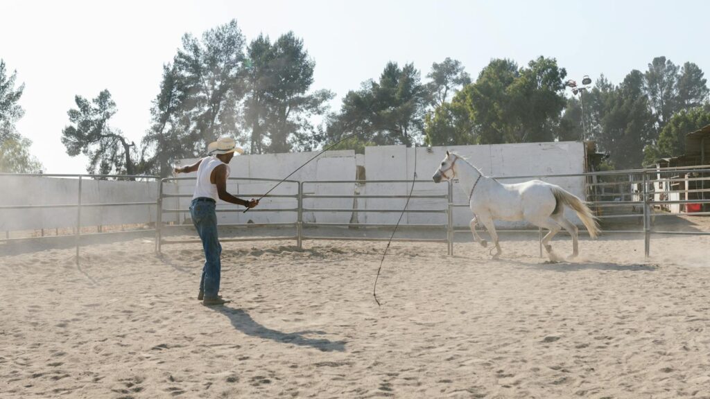 A cowboy trains a white horse in a dusty outdoor ranch, showcasing equestrian skills.