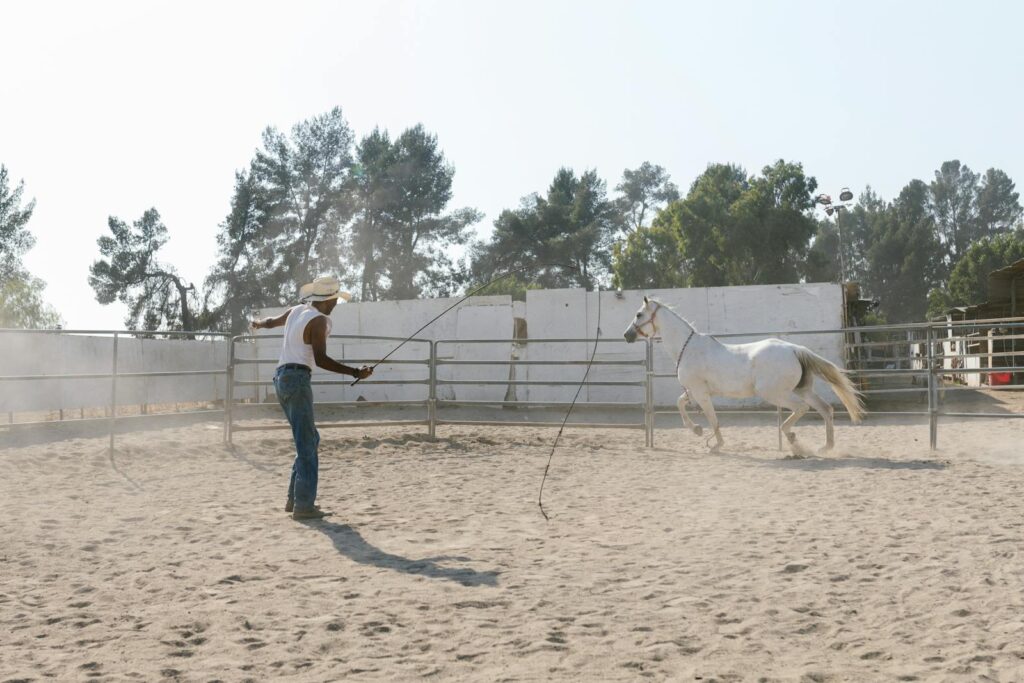 A cowboy trains a white horse in a dusty outdoor ranch, showcasing equestrian skills.