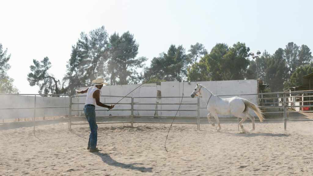 A cowboy trains a white horse in a dusty outdoor ranch, showcasing equestrian skills.