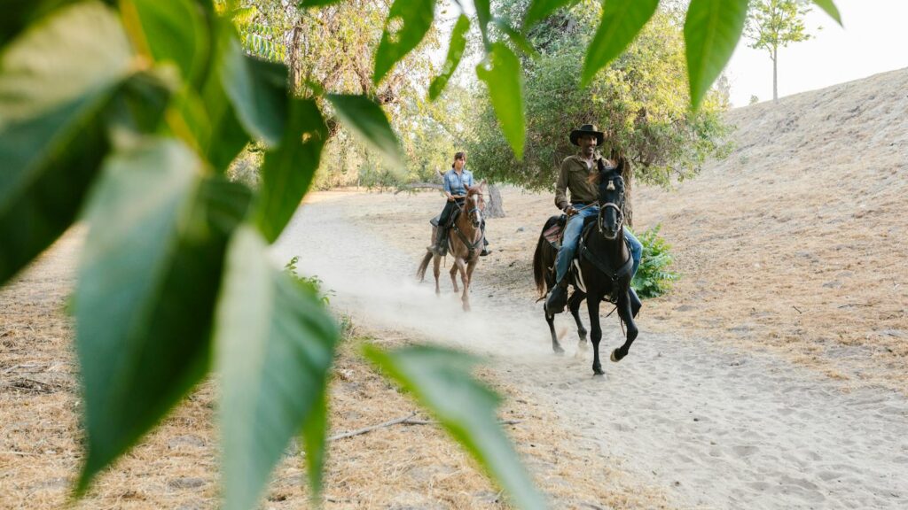 Two riders on horseback navigate a scenic, tree-lined dirt trail in the countryside.