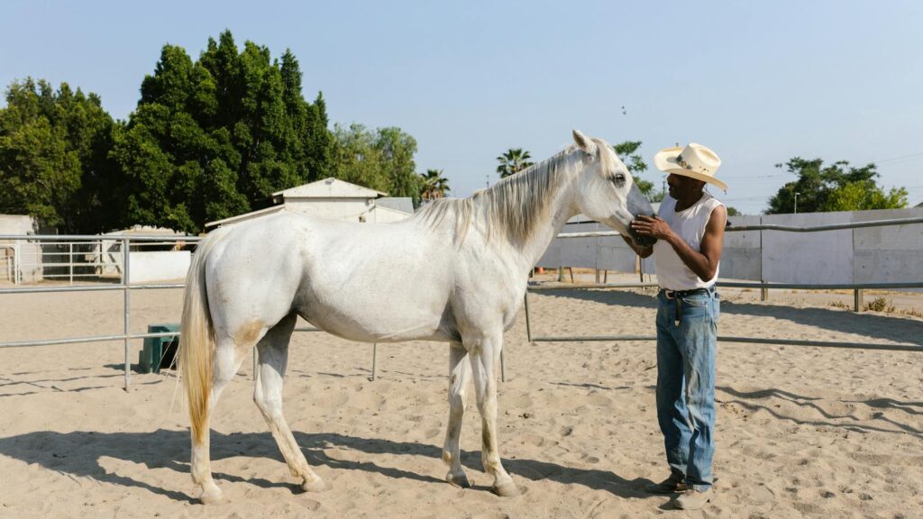 A cowboy in a hat and tank top stands with a white horse in a sunny outdoor corral.
