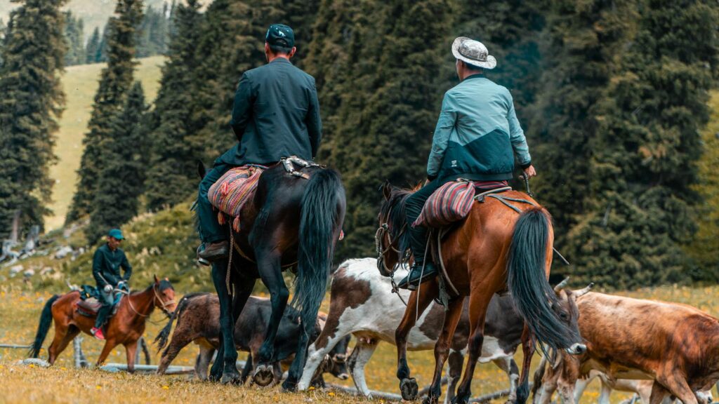 Two horse riders guide a herd of cattle through scenic countryside in Xinjiang, China.