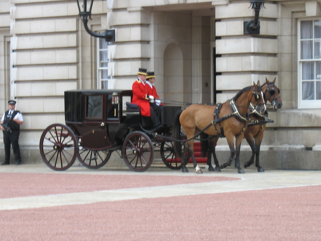 Cleveland Bay Horses Drawn Brougham Carriage