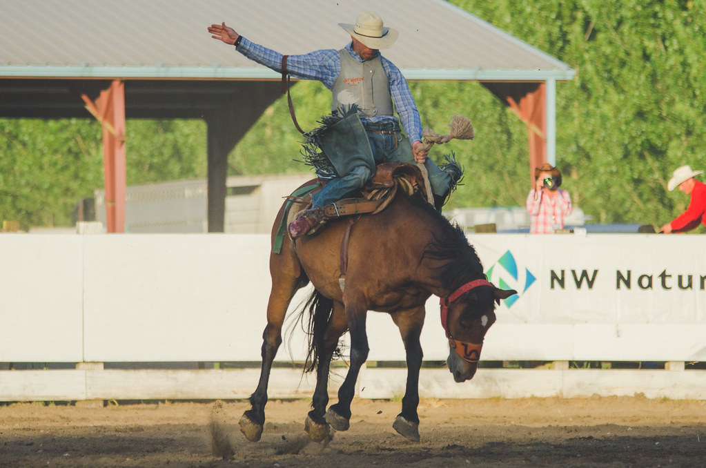 Rider with a bucking horse