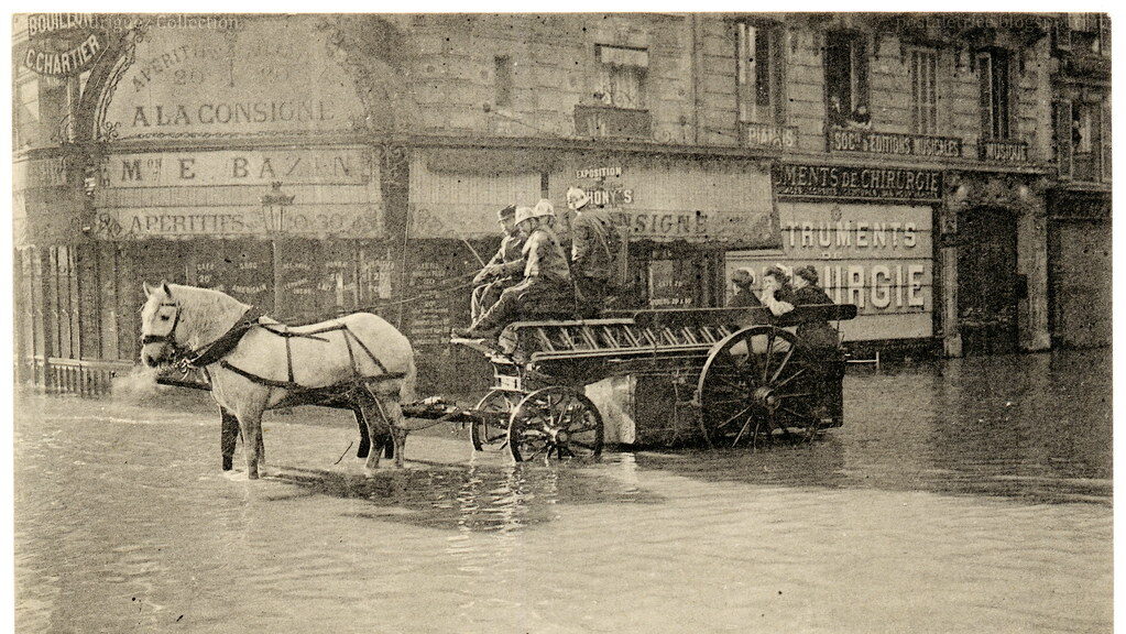 horse in flood