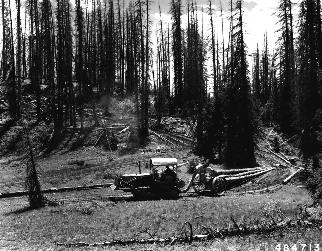Tractor skidding beetle-killed Engelmann spruce logs to a cutting and stacking point on Coffee Pot Mountain. White Mountain National Forest, Colorado.