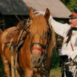 A man in a military uniform stands with a saddled horse outdoors.