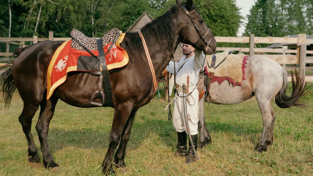 A soldier in historical attire with horses in an outdoor paddock, showcasing medieval equestrian gear.