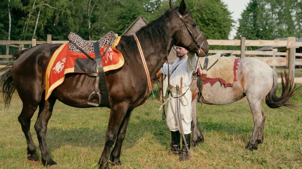 A soldier in historical attire with horses in an outdoor paddock, showcasing medieval equestrian gear.