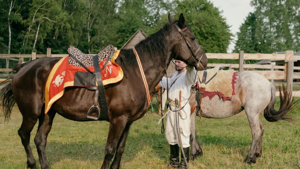 A soldier in historical attire with horses in an outdoor paddock