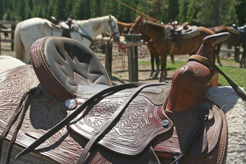 Roger's horse's saddle