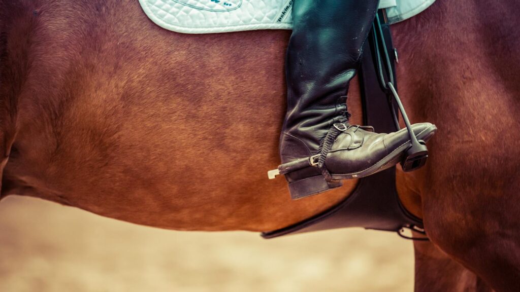 Detailed view of a rider's boot in a stirrup on a horse, showcasing equestrian gear.